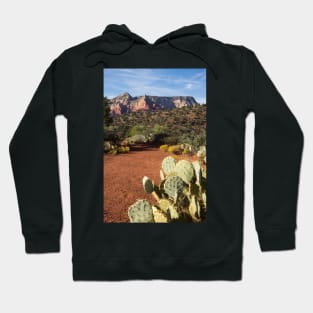 Arid landscape. Hoodie